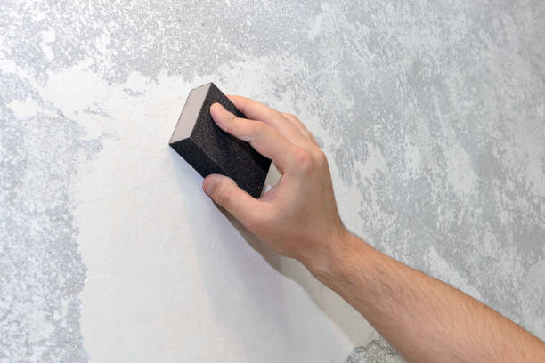Best Emergency Mold Remediation  in Vernon, TX